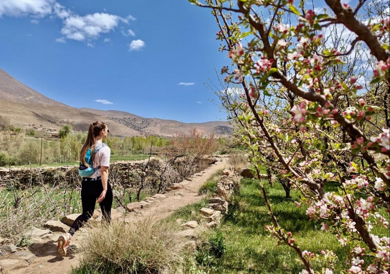 Touda Ecolodge Atlas Mountains Zawyat Oulmzi Exterior photo